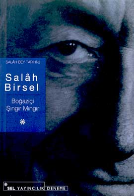 Boğaziçi Şıngır Mıngır - Salah Birsel - Ana Fikri