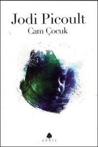 Cam Çocuk - Jodi Picoult - Ana Fikri