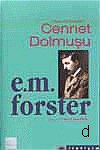 Cennet Dolmuşu - Edward Morgan Forster - Ana Fikri