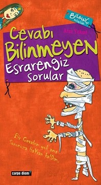 Cevabı Bilinmeyen Esrarengiz Sorular - Arzu Yüksel - Ana Fikri