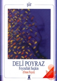 Deli Poyraz  - Feyzullah Seçkin - Ana Fikri