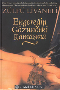 Engereğin Gözündeki Kamaşma - Zülfü Livaneli - Ana Fikri