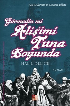 Görmedin mi Aliş'imi Tuna Boyunda - Halil Delice - Ana Fikri