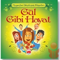 Gül Gibi Hayat - Erol Ergün - Ana Fikri