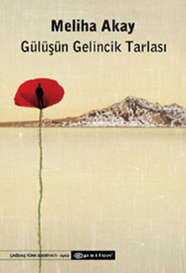 Gülüşün Gelincik Tarlası - Meliha Akay - Ana Fikri