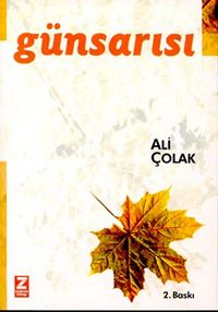 Günsarısı - Ali Çolak - Ana Fikri