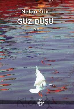 Güz Düşü  - Nalan Gür - Ana Fikri