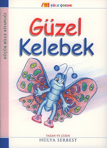 Güzel Kelebek - Hülya Serbest - Ana Fikri