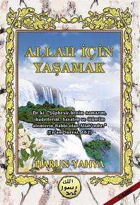 Allah İçin Yaşamak