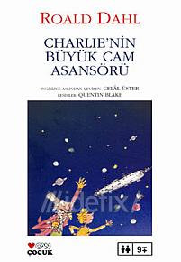 Çarli nin Büyük Cam Asansörü - Roald Dahl - Ana Fikri