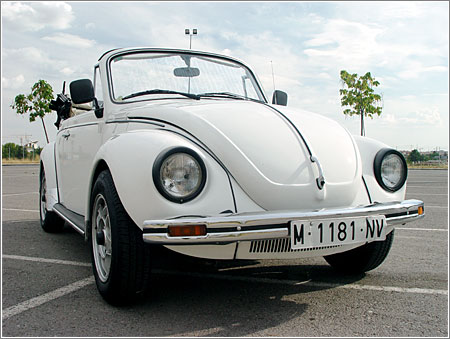 Volkswagen Beetle "vosvos" & "kaplumbağa"