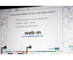 Google IE9'a da sızdı!