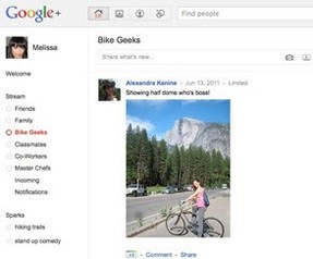 Google+ üyelik sistemini kilitledi!