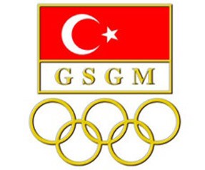 Türkiye Dijital Oyunlar Federasyonu 
