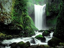 Falls Creek Falls, Gifford Pinchot National Forest, Washingt