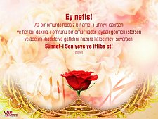 RİSALE İ NURDAN (19)