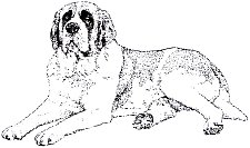Saint Bernard_003