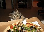 Komik yada eglenceli resimler :)-pizza_hirsizi_56612jpg