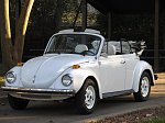 Volkswagen Beetle &quot;vosvos&quot; &amp; &quot;kaplumbağa&quot;-pinaran-in-kaplucanijpg