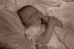 Bebek resimleri - CANLI gibiler-8420_7505_25092009_3jpg
