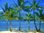 Dünyanin en güzel ülke ve sehirleri-hawaiijpg