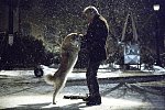  Resmi gerçek boyutunda görmek için tıklayın.

Resmin ismi:  hachiko_a_dog_s_story18.jpg
Görüntüleme: -
Büyüklüğü:  220.2 KB (Kilobyte)