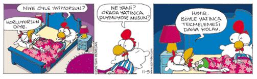Evlilik