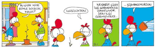 Evlilik