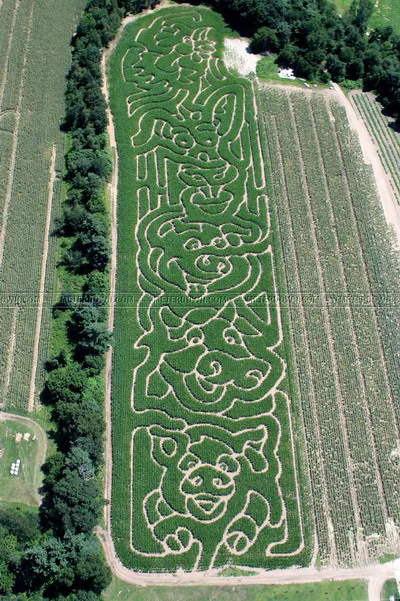 cimden sanat eserleri