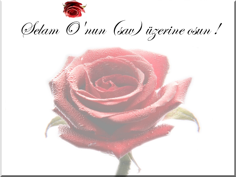 TUT ŞU MÜCRİMİN ELİNDEN..