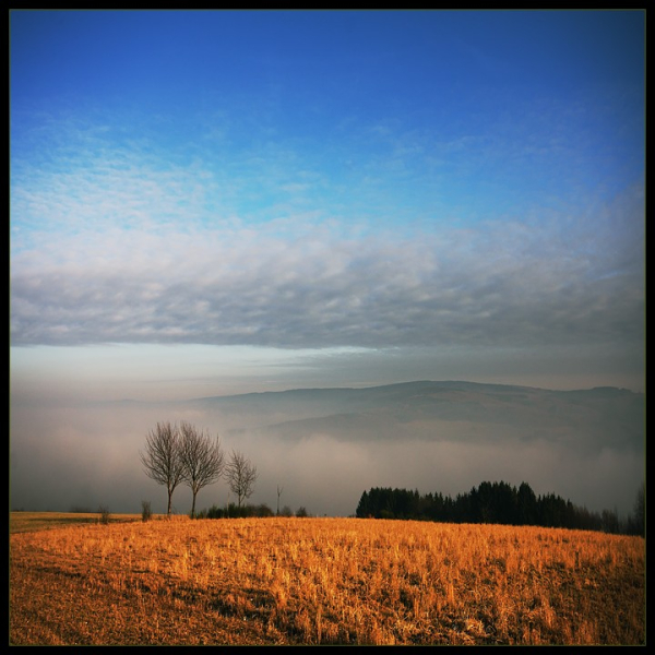 Doga-Manzara301