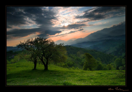 Doga-Manzara440.jpg