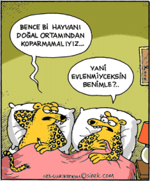 SelcukErdem_118_.gif