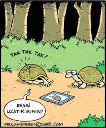 SelcukErdem_123_.gif