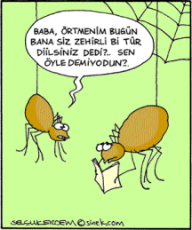 SelcukErdem_132_.gif