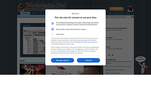 Web sitenizi degerlendirin