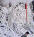 600 ton pamuk iddia yüzünden kül oldu