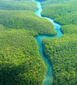 Amazon, CO2 bacaları haline gelebilir