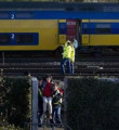 Amsterdam´da tren kazası: 136 ölü