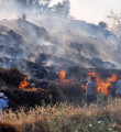 Balıkesir'deki yangın köye ilerliyor