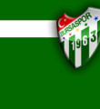 Bursaspor'a bir dünya yıldızı geliyor