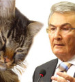 CHP'de Baykal'ın kedisi Şero'ya da  veto!
