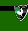 Denizlispor'a siyaset bulaştıya cevap