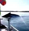 Dev balina küçük kızı böyle korkuttu!