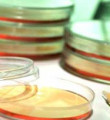 Doping numuneleri artık Köln'e gönderilecek