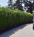 Hayrunnisa Gül'den Golf arabasıyla Köşk turu