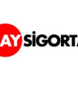 Hazine'den Ray Sigorta'da hisse devrine onay