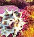 Kansere karşı T hücreleri seferber ediliyor