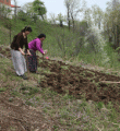 Karadeniz´de kadının çilesi
