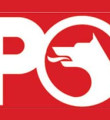 Petrol Ofisi'nde hisse devrine onay